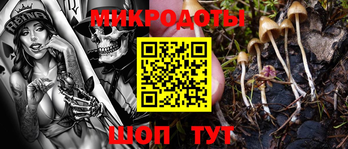 Галлюциногенные грибы GOLDEN TEACHER  Галлюциногенные грибы Psilocybine cubensis  Белореченск  Вход с VPN 